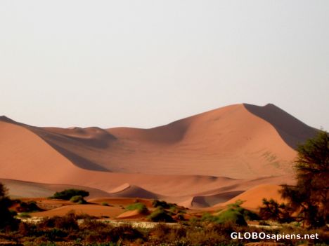 Postcard Sand Dunes of the desert park