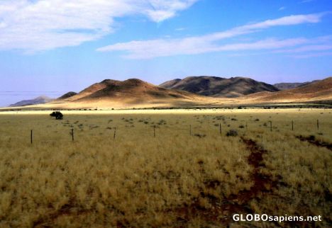 Postcard Scenery of the desert park