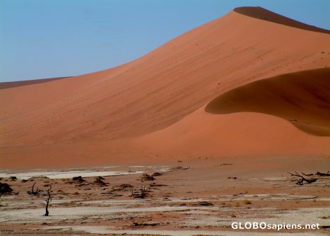 Postcard End of Days, Namib Desert