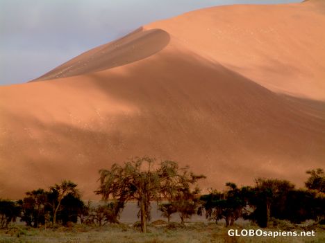 Postcard Namib Desert