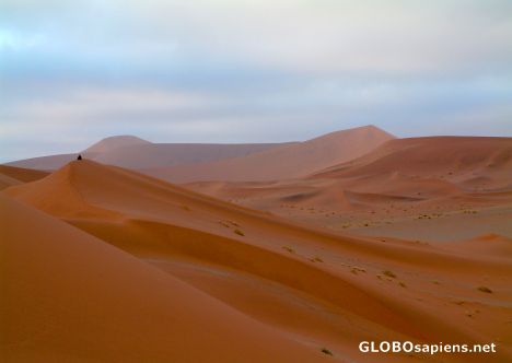 Postcard Namib Desert - Contemplation