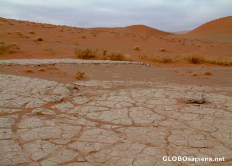 Postcard Namib Desert - No Water