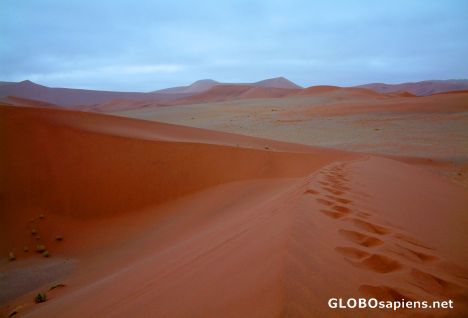 Postcard Namib Desert - Dune steps
