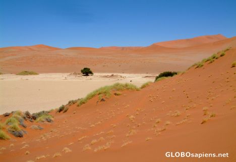 Postcard Namib Desert - the colours of the desert