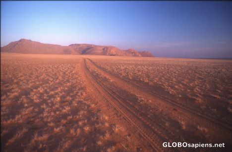 Postcard Desert Landscape