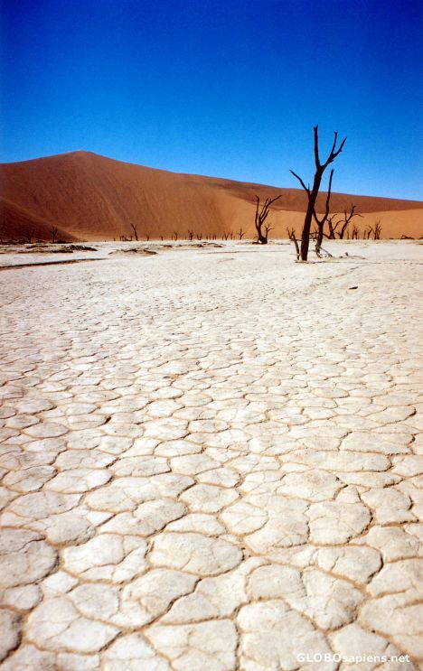 Postcard Namib Naukluft