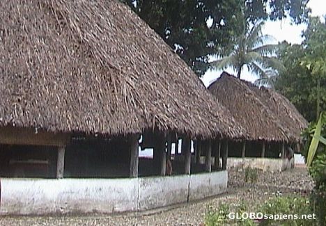 Postcard Fale - traditional house