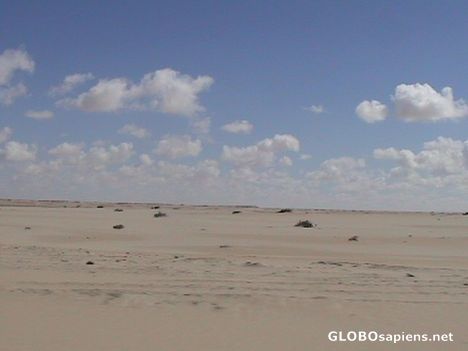 The desert in Western Sahara