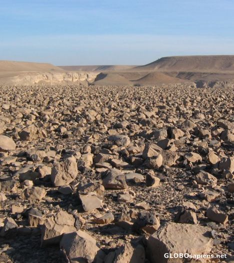 rocky desert of southern Yemen