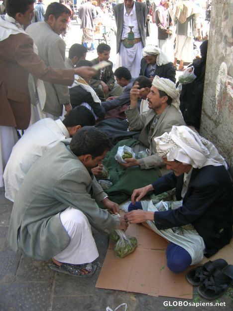 Postcard Selling Qat with total impunity