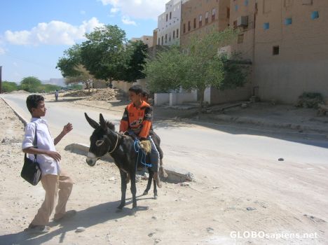 Postcard Children in a donkey