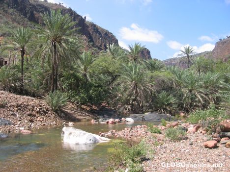 Postcard Wadi at Diksum Valley