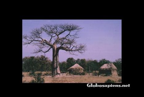 Postcard Zimbabwe