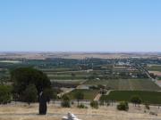View of the Barossa Valley