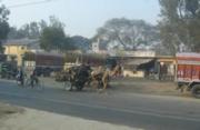 Road to Fatehpur Sikri