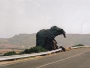 Elephant Rock near Castelsardo