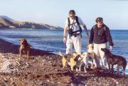 running with the skeelos on Santorini