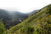 Pfeiffer Big Sur's Valley View Trail