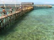 Dolphin Park at Aquamarine Park, Misamis Occidental Dolphin Park at Aquamarine Park, Misamis Occidental
