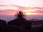 Sunset in Camps Bay