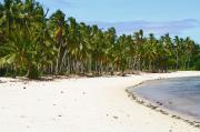 The beach at Malapascua