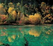 Five Coloured Lake @ Jiuzhaigou Valley