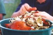Chesapeake Bay crabs, $35 for a half bushel