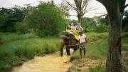 Elephant ride, 