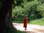 Anuradhupura - A true Buddhist Monk