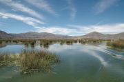 Lake Titicaca