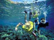 Learn to deep sea dive