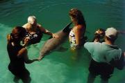 Gusti & Chris with dolphins