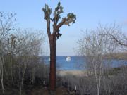 Galapagos travelogue picture