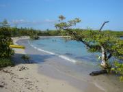 Galapagos travelogue picture