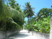 Street in Addu Atoll