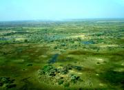Aerial Okavango Delta