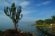 Gisenyi - Lake Kivu