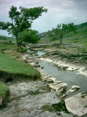 Langstrothdale above Hubberholme -water a mere trickle