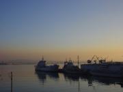 The Harbour at Sunset