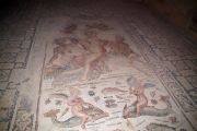 The House of Amphitrite - the Venus mosaic to walk on.