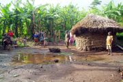 Batwa Pygmies