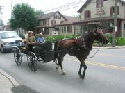Young Amish boys riding their buggy