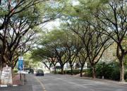 View of Roads along Kuah Town