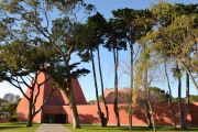 A Squadron of Trees in the grounds of the Casa das Historias Gallery, Cascais. 17/11/16