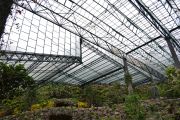 Plant Colony ... Inside the Estufa Quente, Parque Eduardo VII.
18/11/16