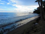 The beach at the hotel in Senggigi - notice how rocky it is