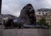 The lions in Trafalgar Square.