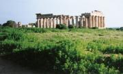 Temple E - probably Dionisus