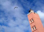 Stork returning to his nest on top of a minaret