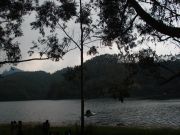 Kundally Lake forest